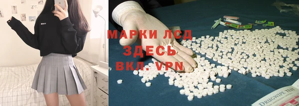 ГАЛЛЮЦИНОГЕННЫЕ ГРИБЫ Аркадак