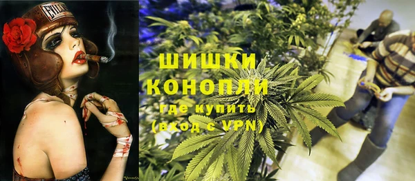 ПСИЛОЦИБИНОВЫЕ ГРИБЫ Баксан