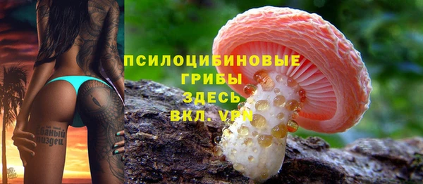ГАЛЛЮЦИНОГЕННЫЕ ГРИБЫ Аркадак