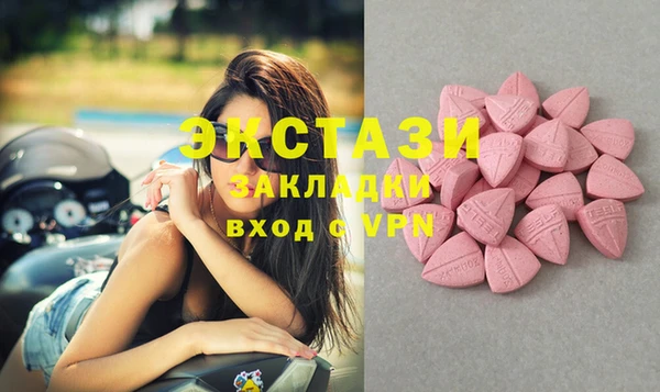 ГАЛЛЮЦИНОГЕННЫЕ ГРИБЫ Аркадак