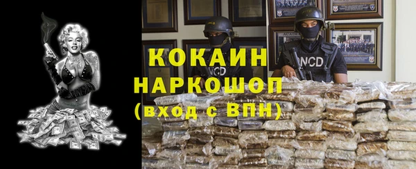 прущие грибы Армянск