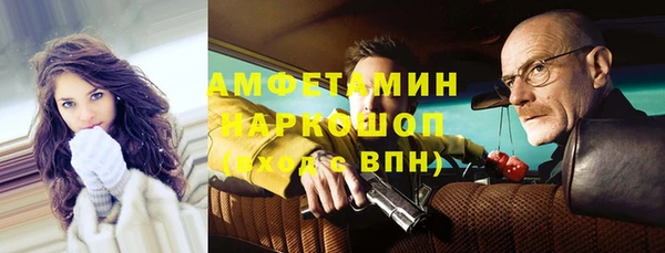 ГАЛЛЮЦИНОГЕННЫЕ ГРИБЫ Аркадак