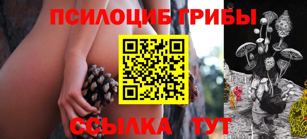 Нарьян-Мар  где купить наркоту  Вход с VPN  Псилоцибиновые грибы Psilocybe 